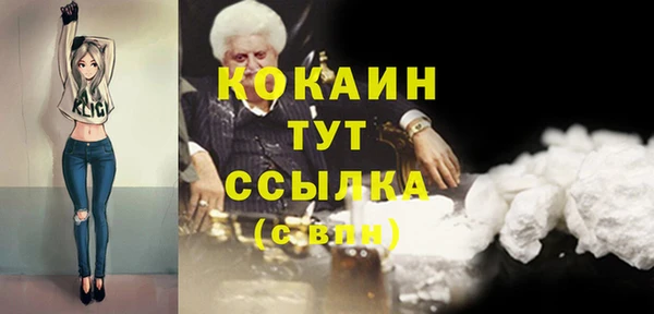 молекула духа Алексеевка