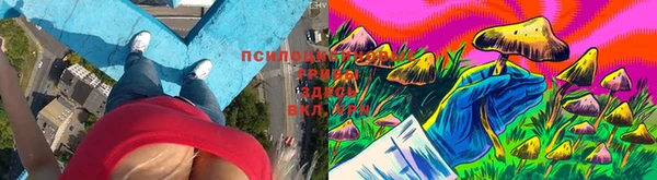 гашиш Алексин