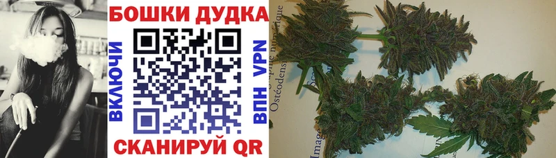 Марихуана Amnesia  Чехов 